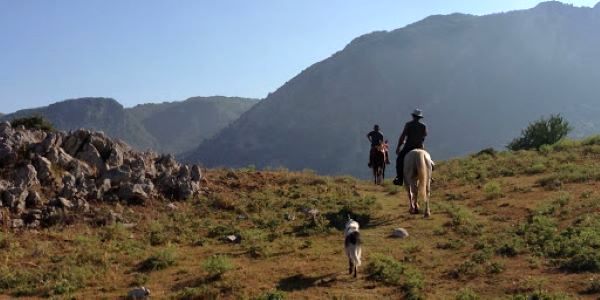 IN VIAGGIO CON CONCEPT EVENTI: Sicilia, escursioni a cavallo.  Alla scoperta dell’Etna