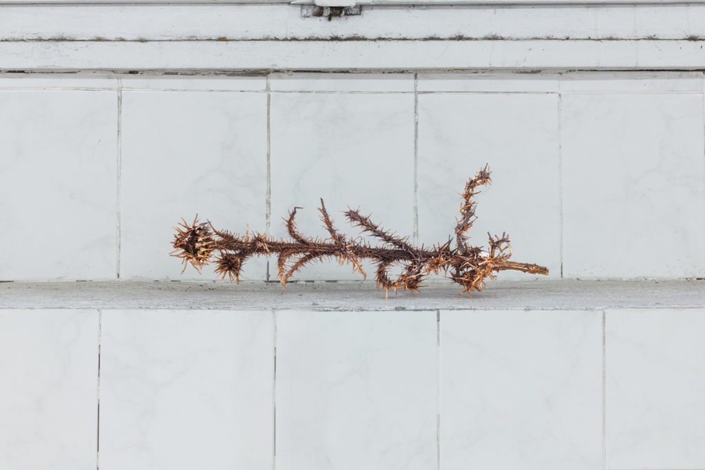 Lito Kattou_Flower I (2019)_copper electroformed dried milk thistle_Ph. Elena Radice