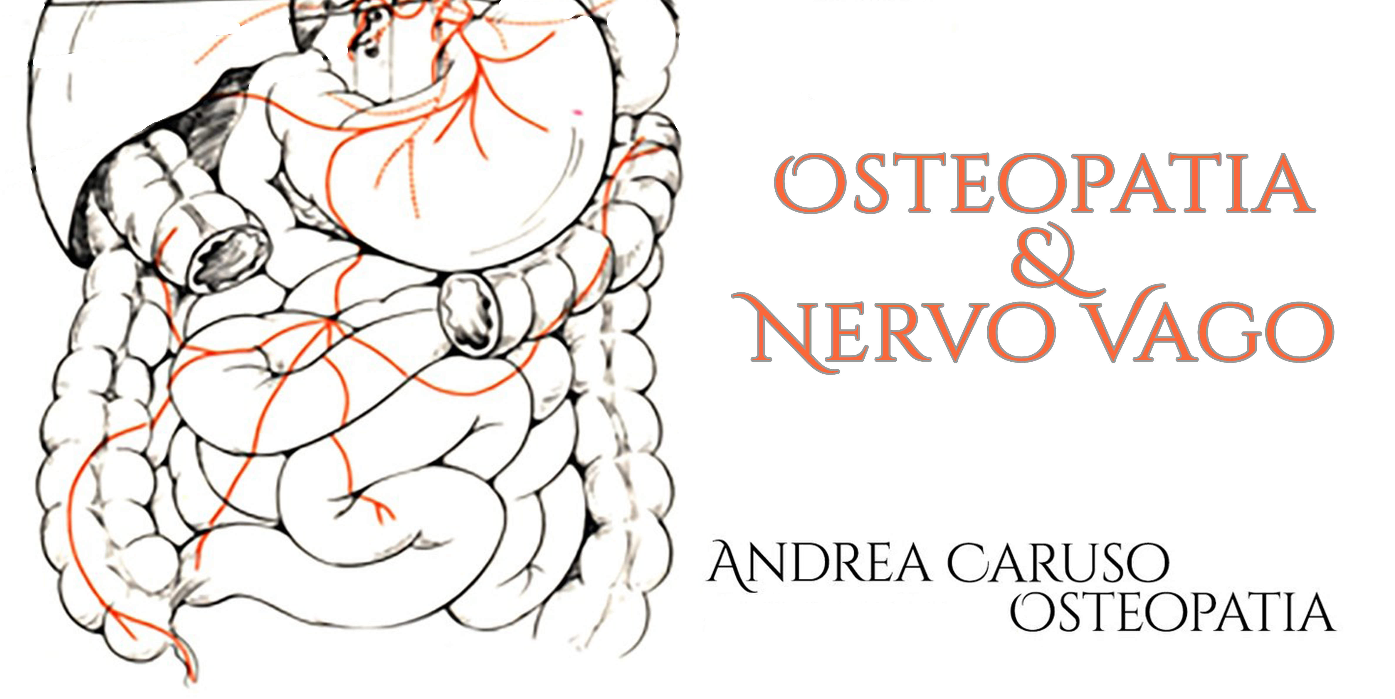 Osteopatia & nervo vago