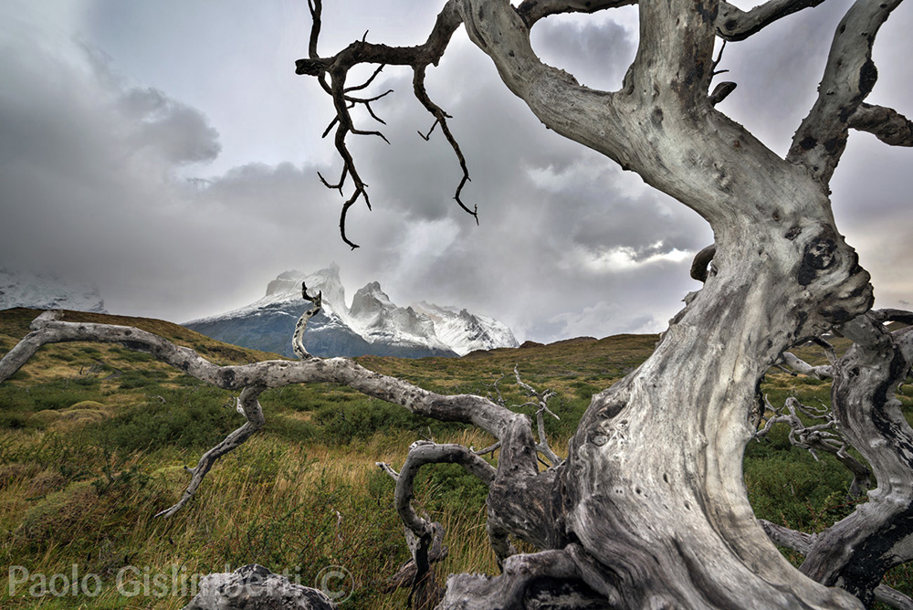 PN Torres del Paine, Cile