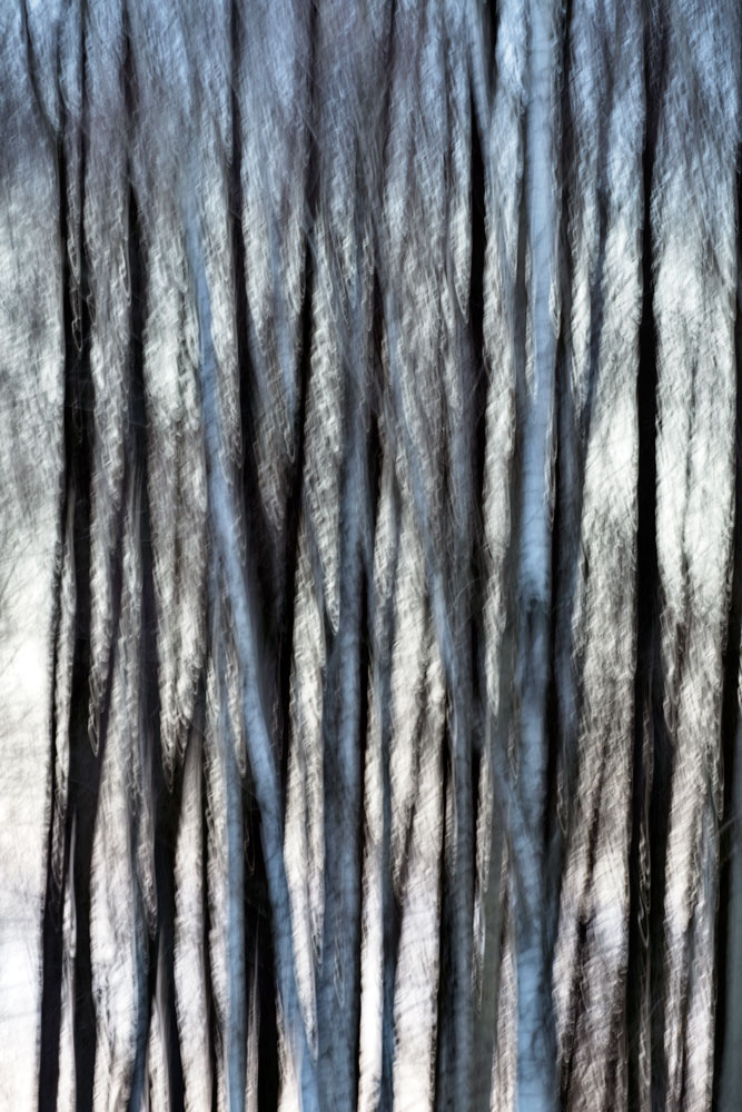 Alberi astratti, abstract trees