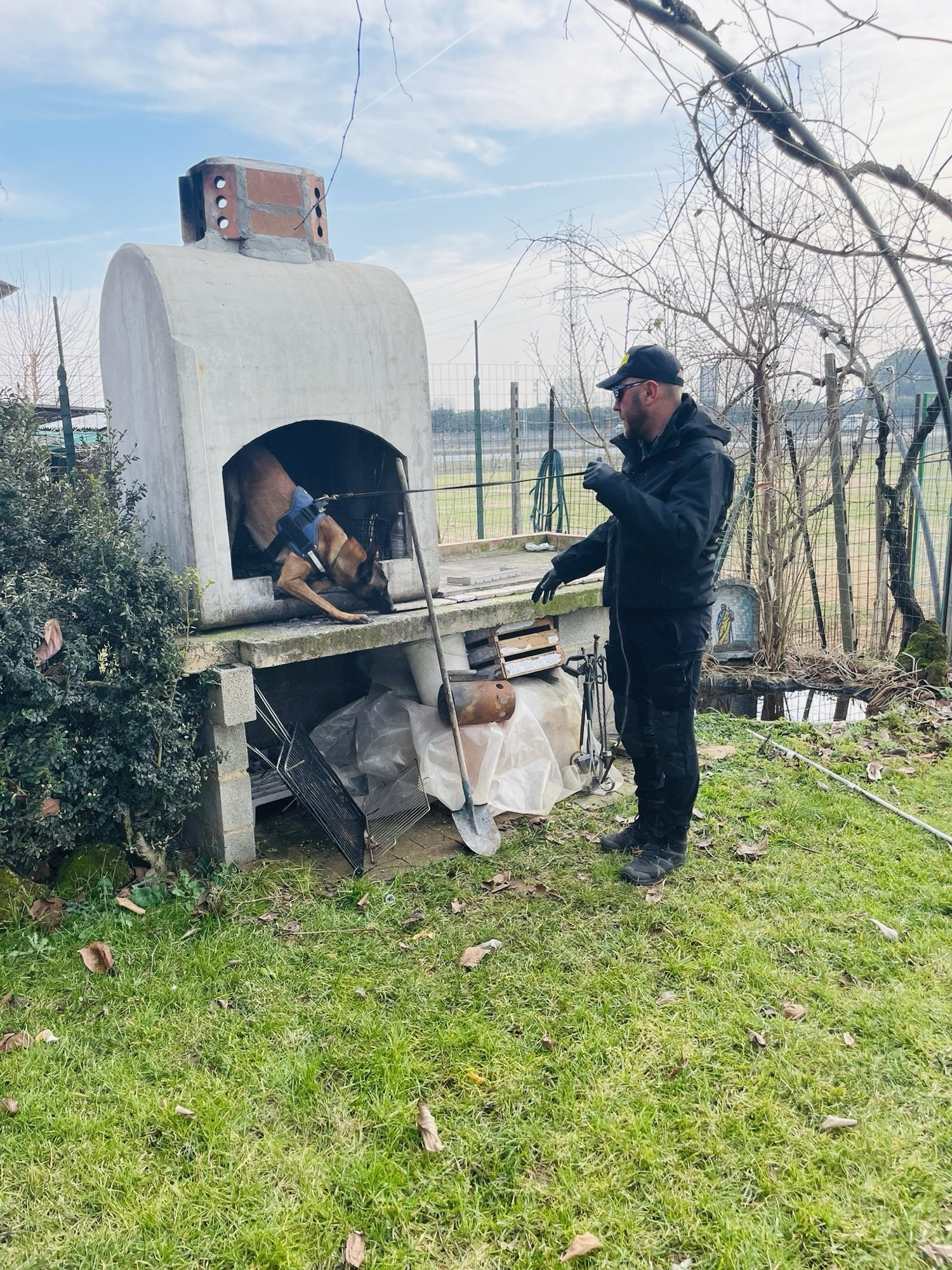 La segnalazione nella Detection