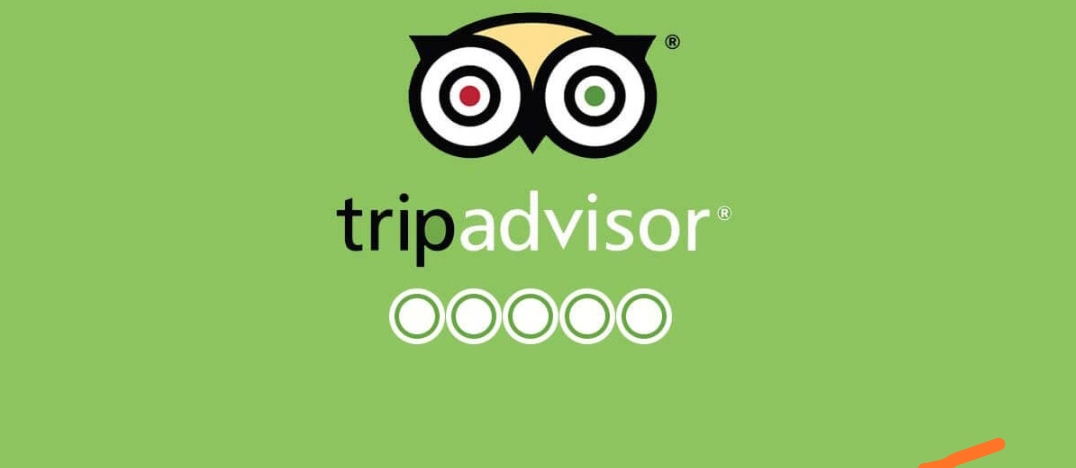 About trip advisor
