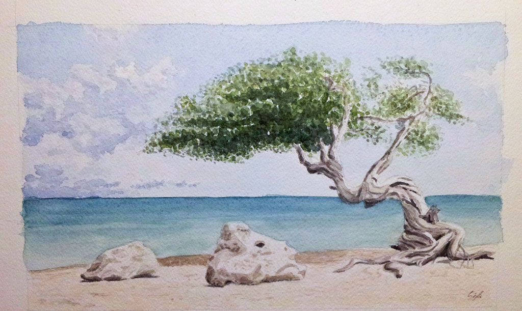 waterpaint of anciet juniper on the seaside