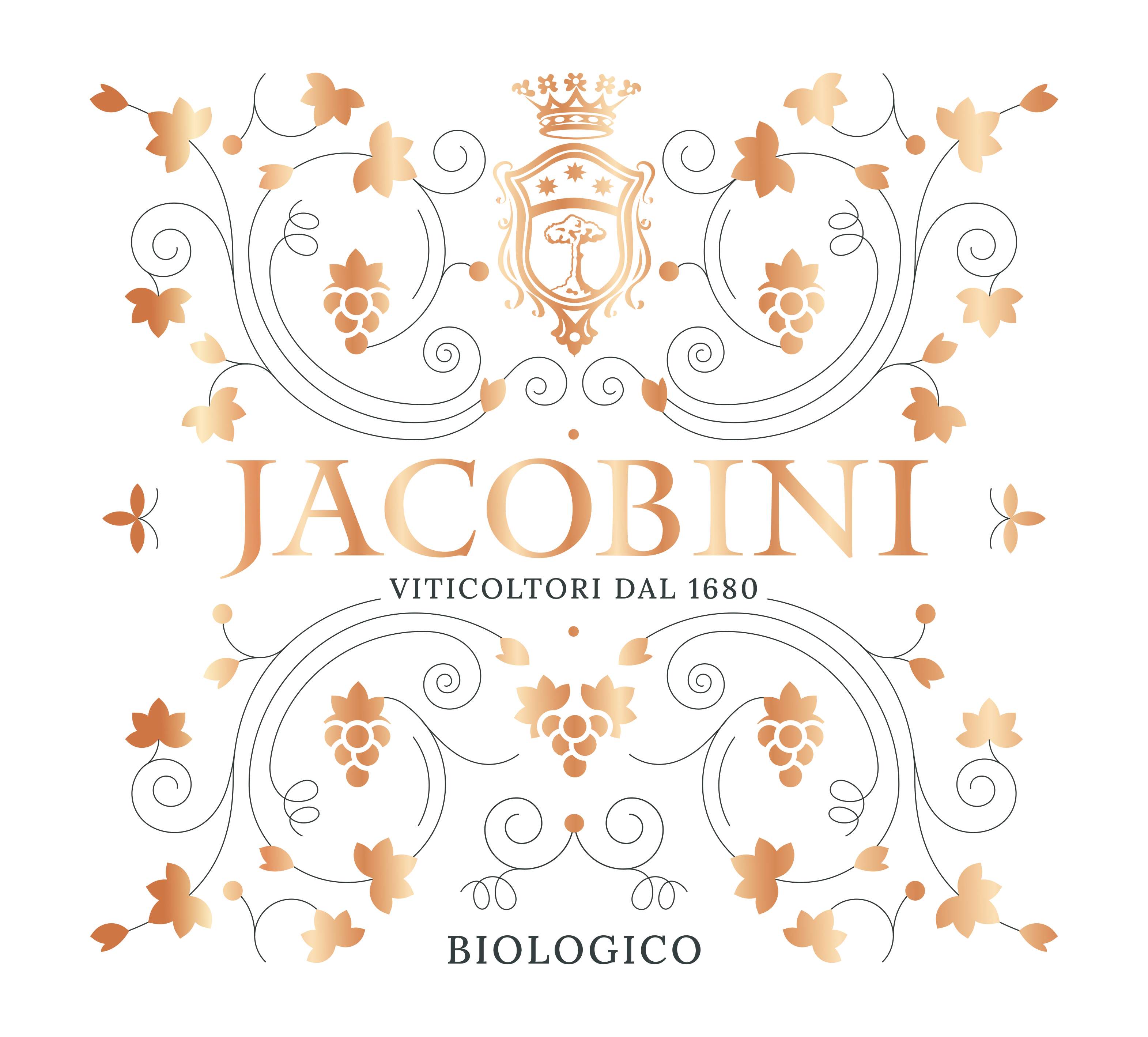 Jacobini Wine is Here! 