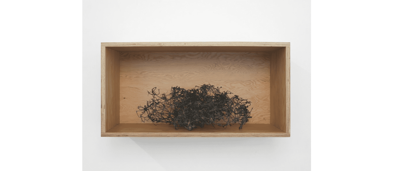2017, blackplastic mesh in douglas firplywood box, 40 × 80 × 40 cm