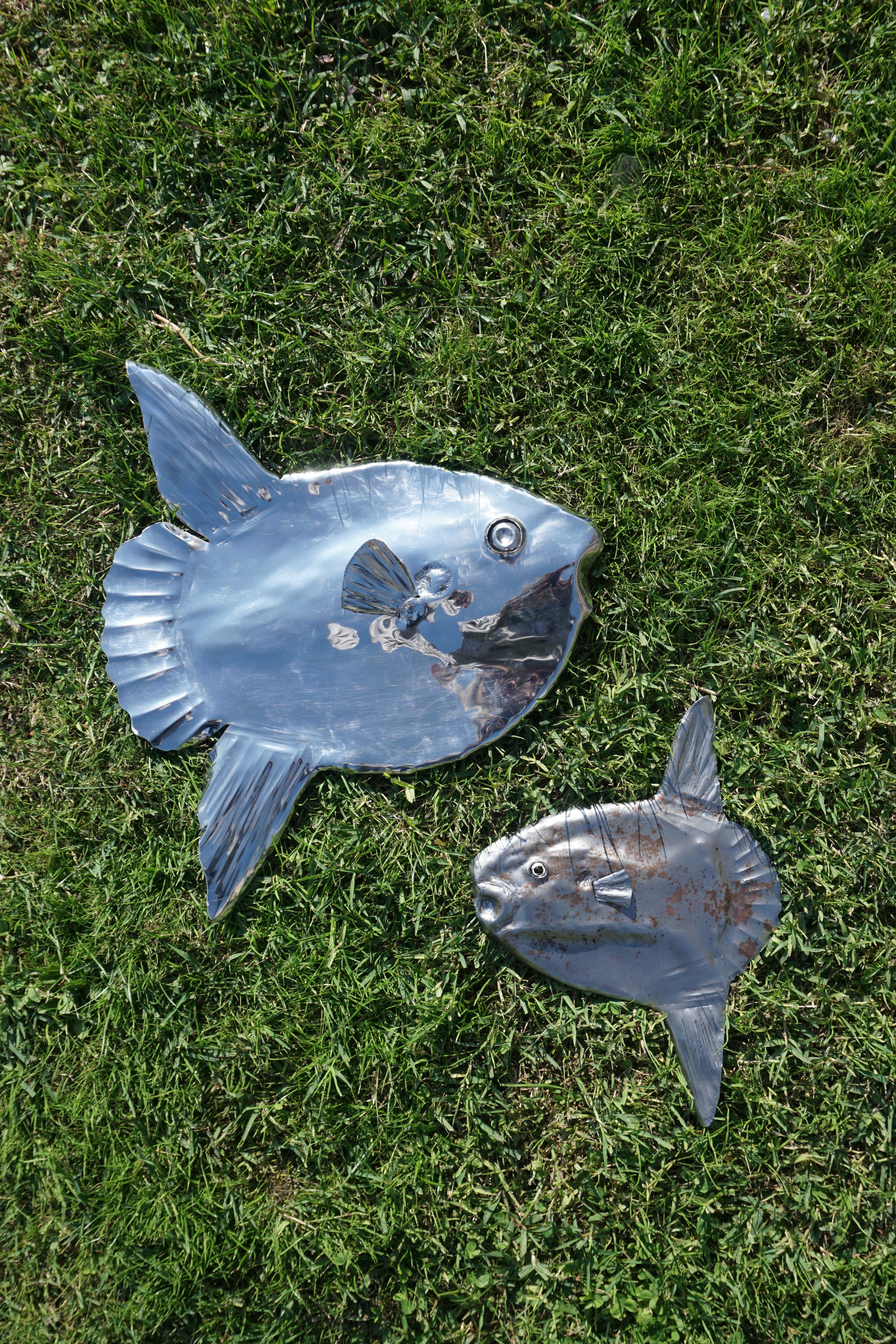 pesce luna medio: inox - pesce luna piccolo:ferro