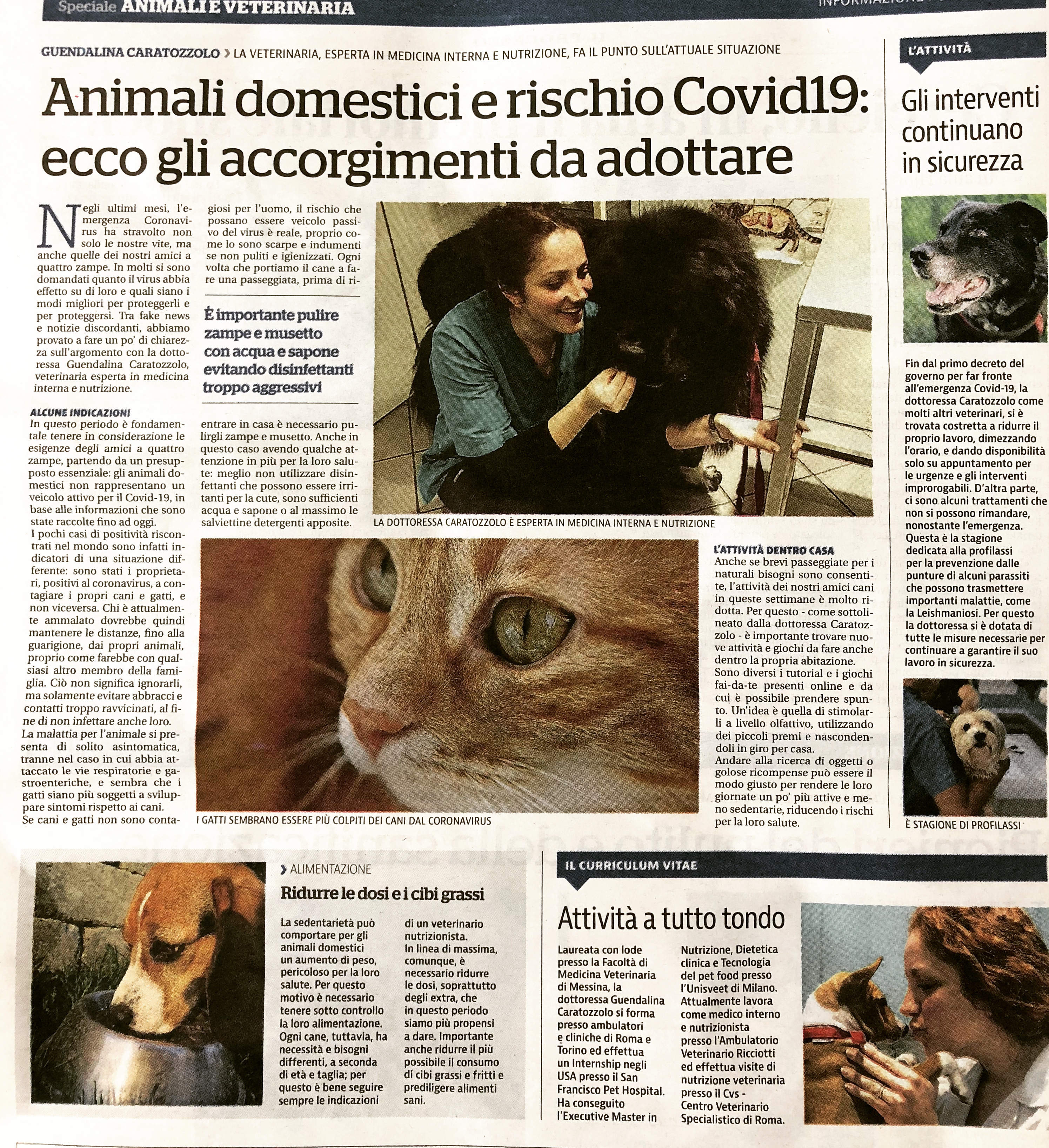 Animali domestici e rischio COVID-19
