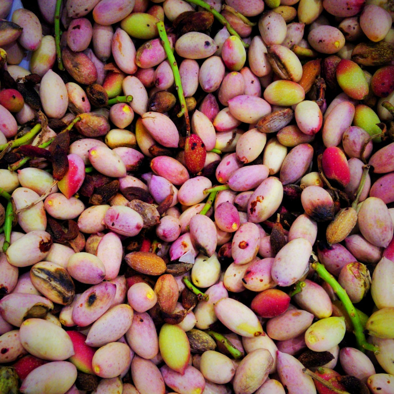 Pistachios from Bronte