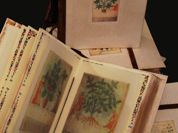 Interno della pubblicazione Antico Erbario con immagine delle pergamene colorate