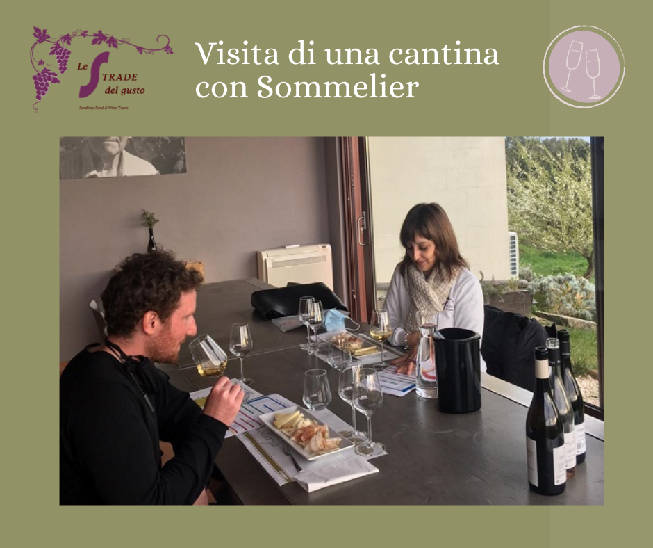Visita di una cantina con Sommelier (Visit a winery)