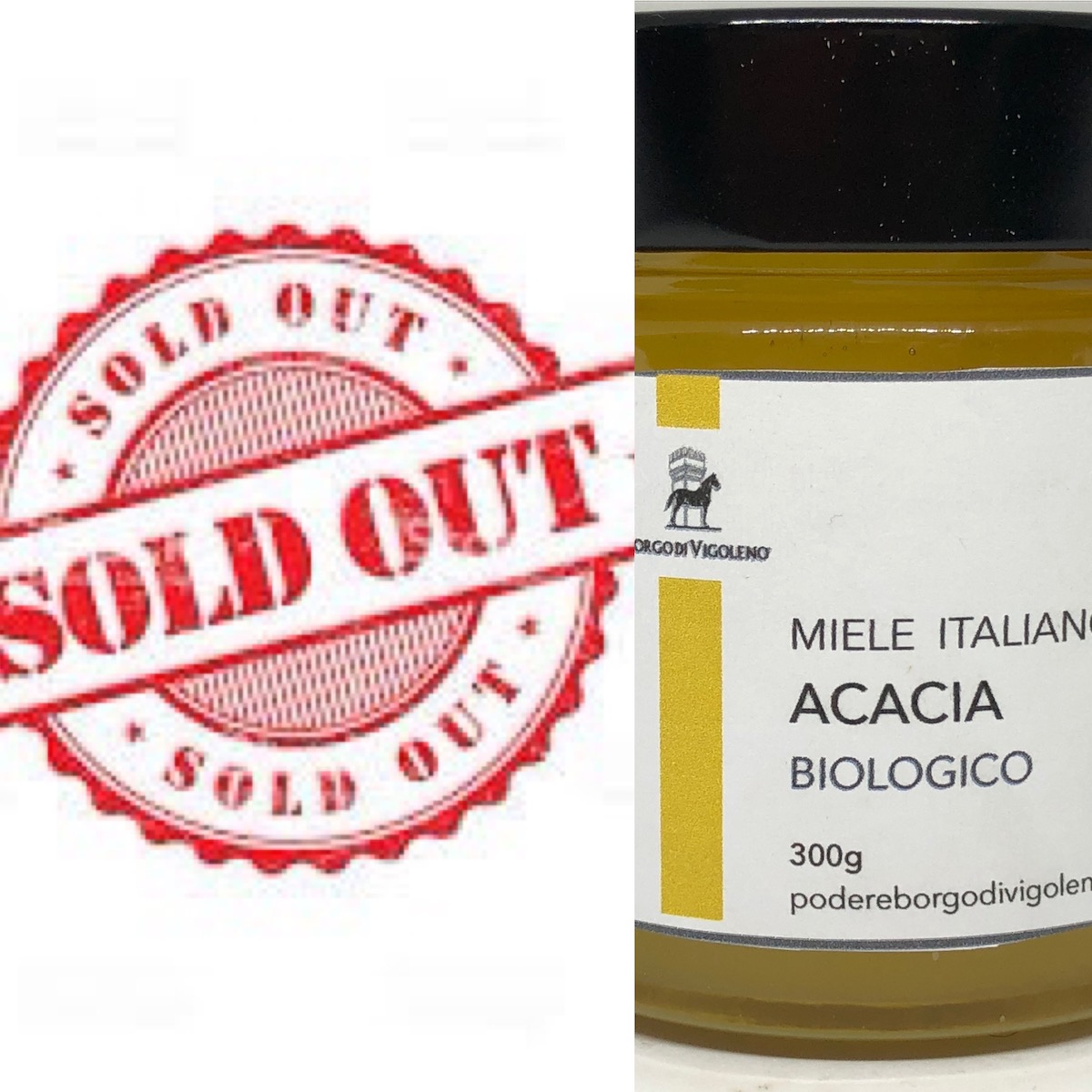008 - Miele Acacia Biologico 300g