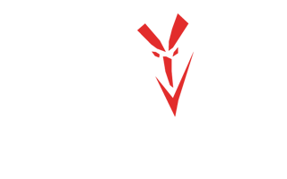JERSEY DEVIL BAND
