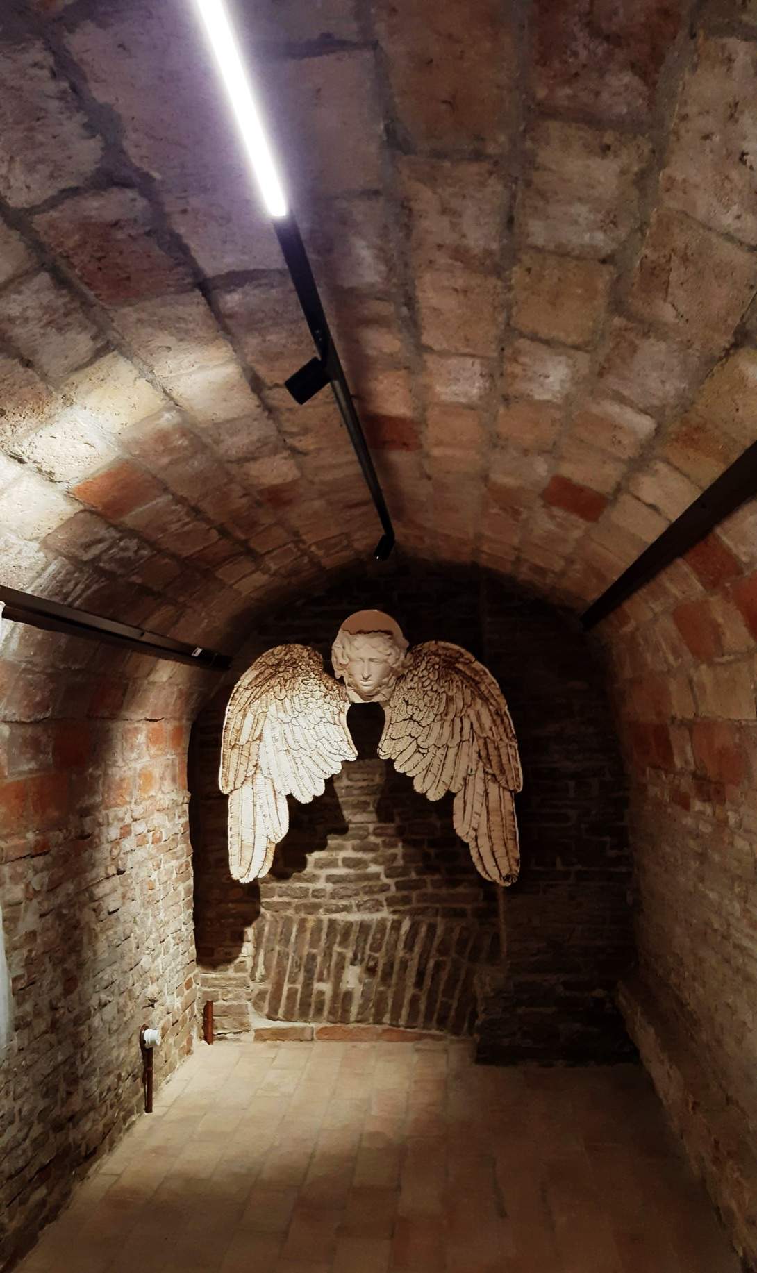 Installazione nella Cripta Cripta di San Pellegrino - Senigallia (AN)