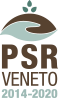 logo_PSRpng