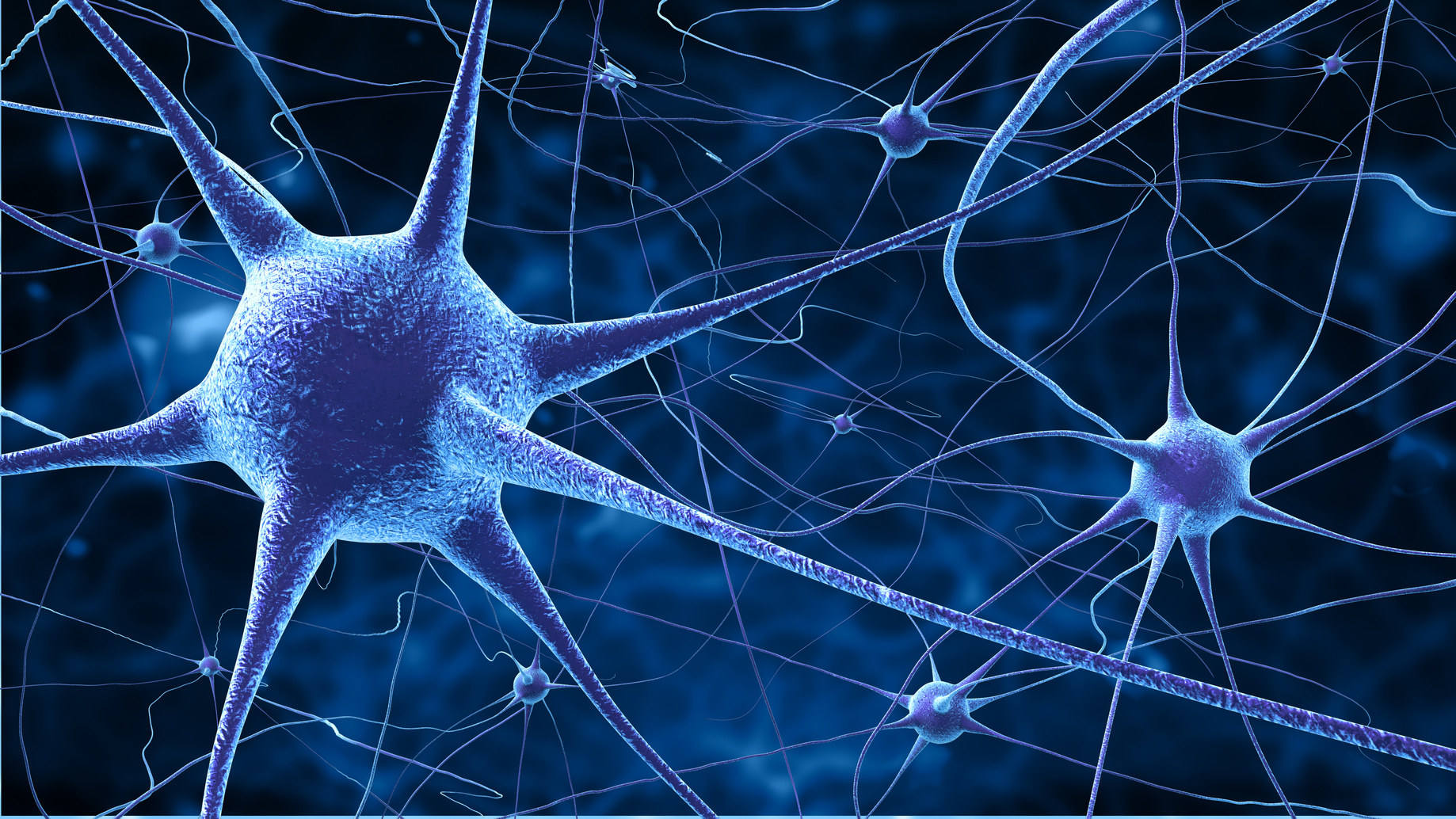 Neurogenesis in adult brain. A challenge for Alzheimer's patients