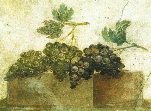 The History of Winemaking in the Castelli Romani