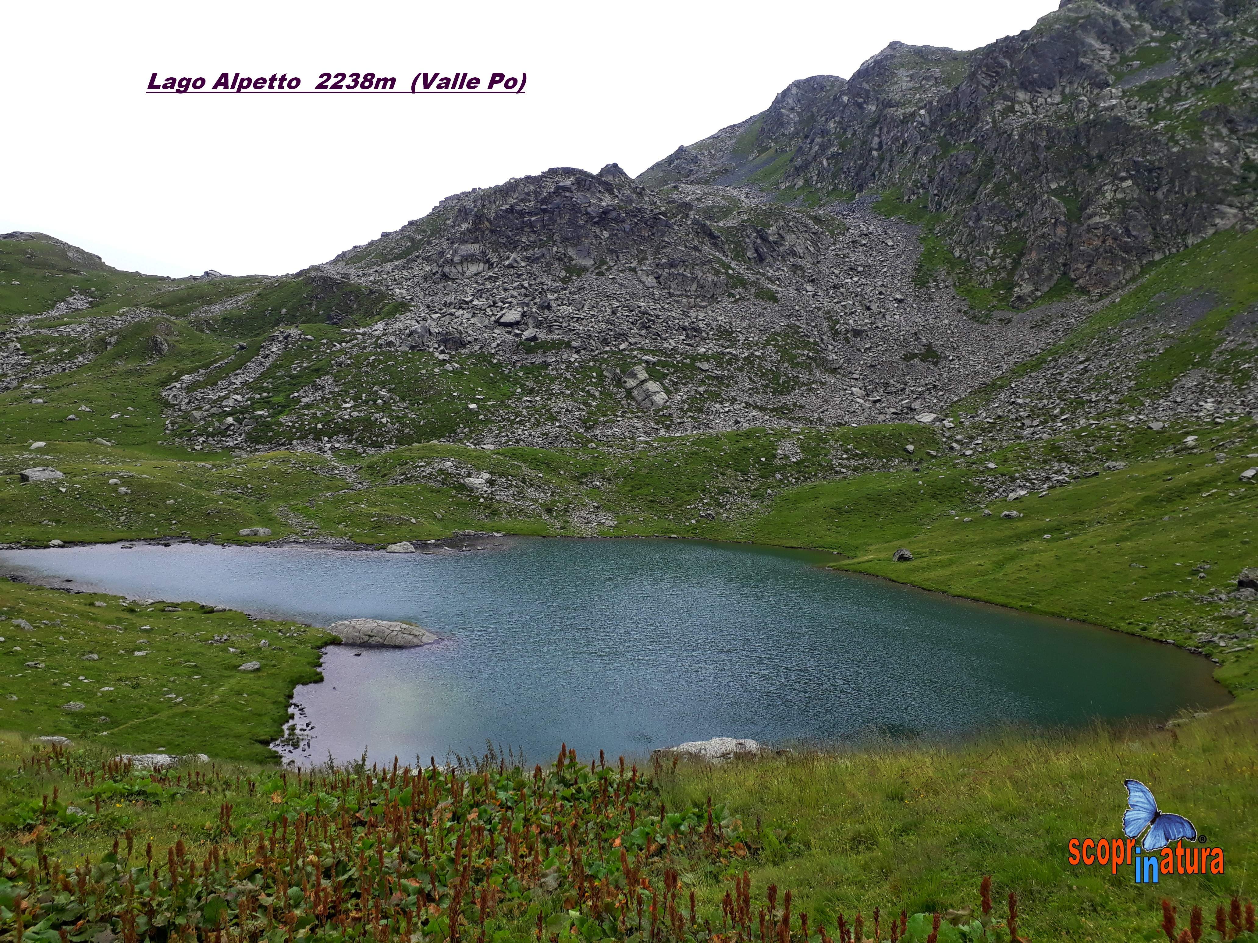 Lago Alpetto 2238m