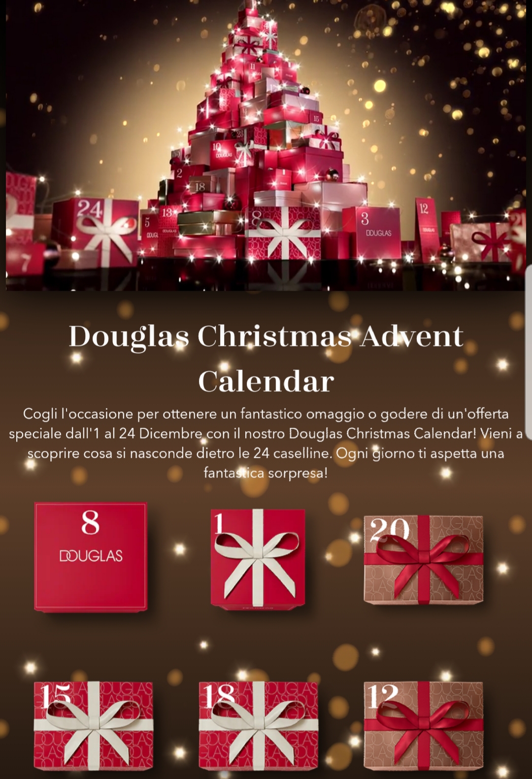 Douglas - Calendario dell'Avvento