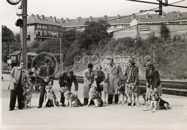 Anni '50, foto con vari proprietari di saarloos