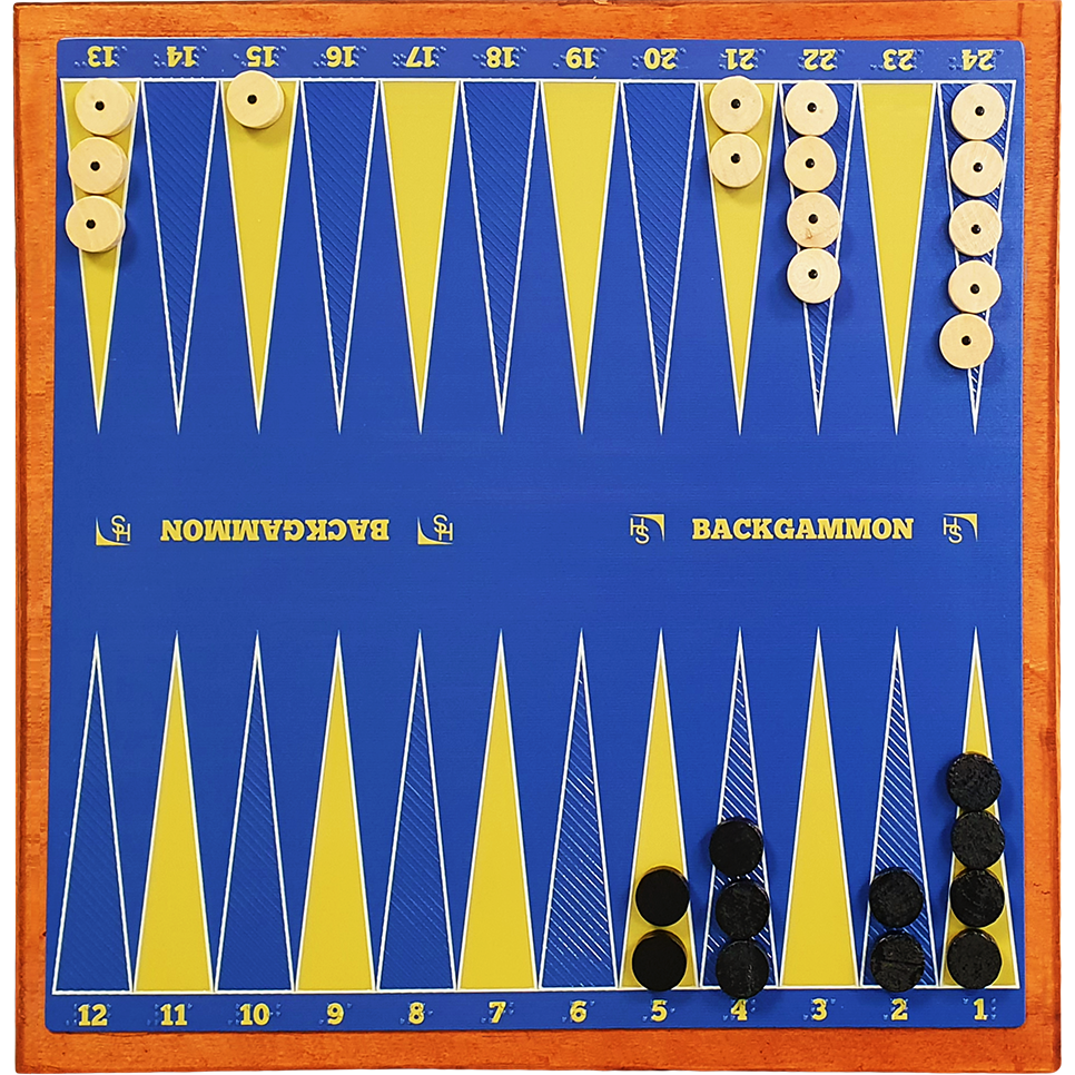 Backgammon magnetico a rilievo tattile e Braille