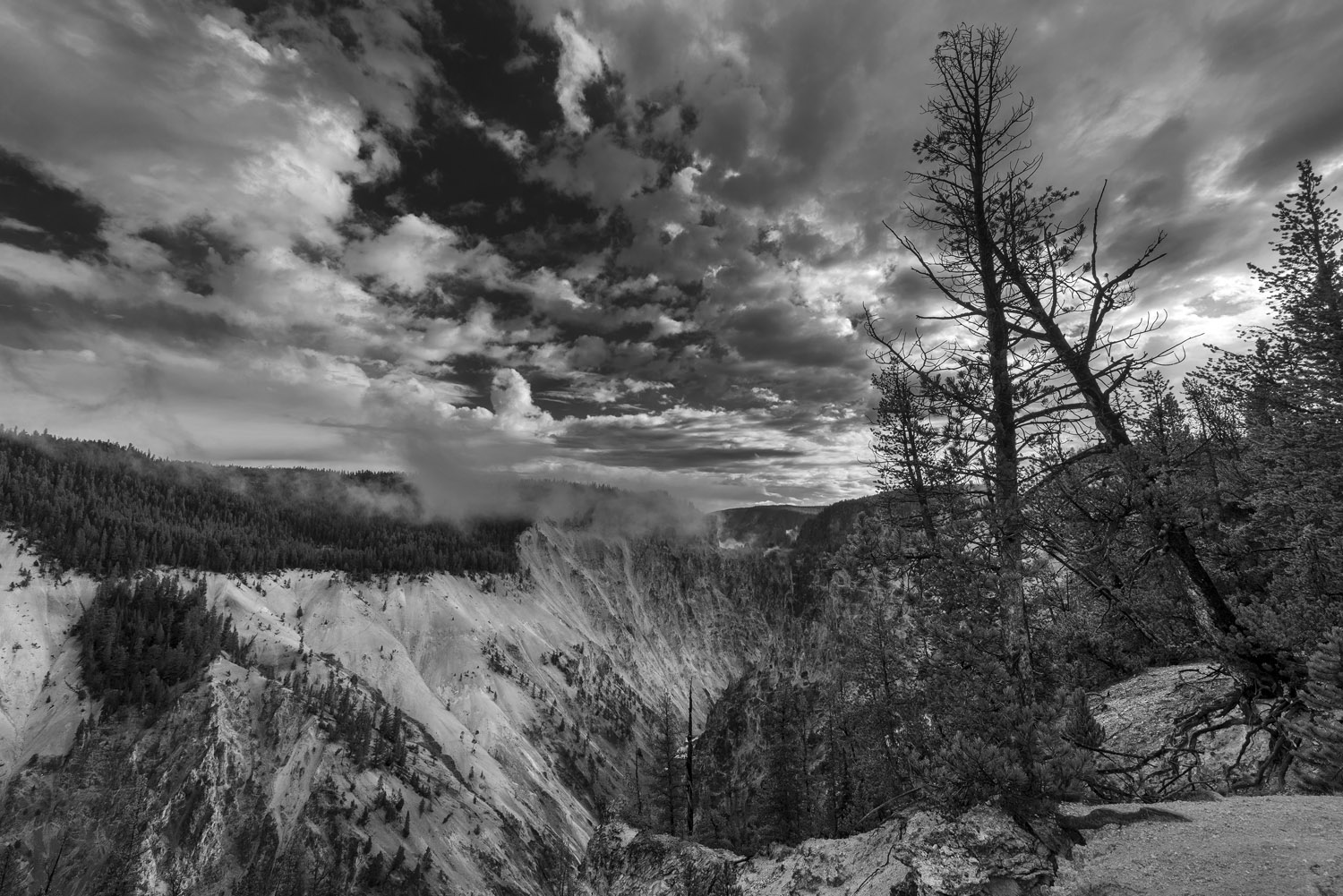 the canyon of the Yellowstone river