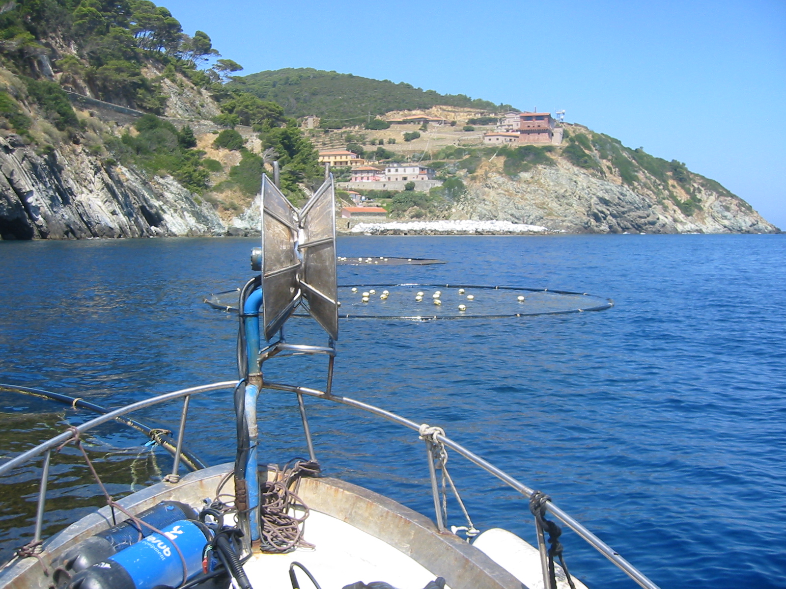 Valutazione impatto ambientale gabbie presso Isola di Gorgona