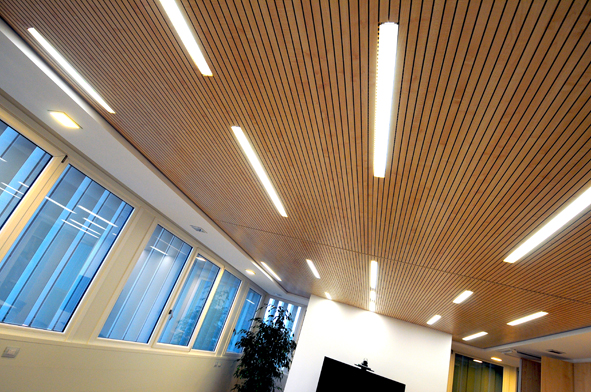 esempio di contract con soffitto, illuminazione speciale, rivestimenti