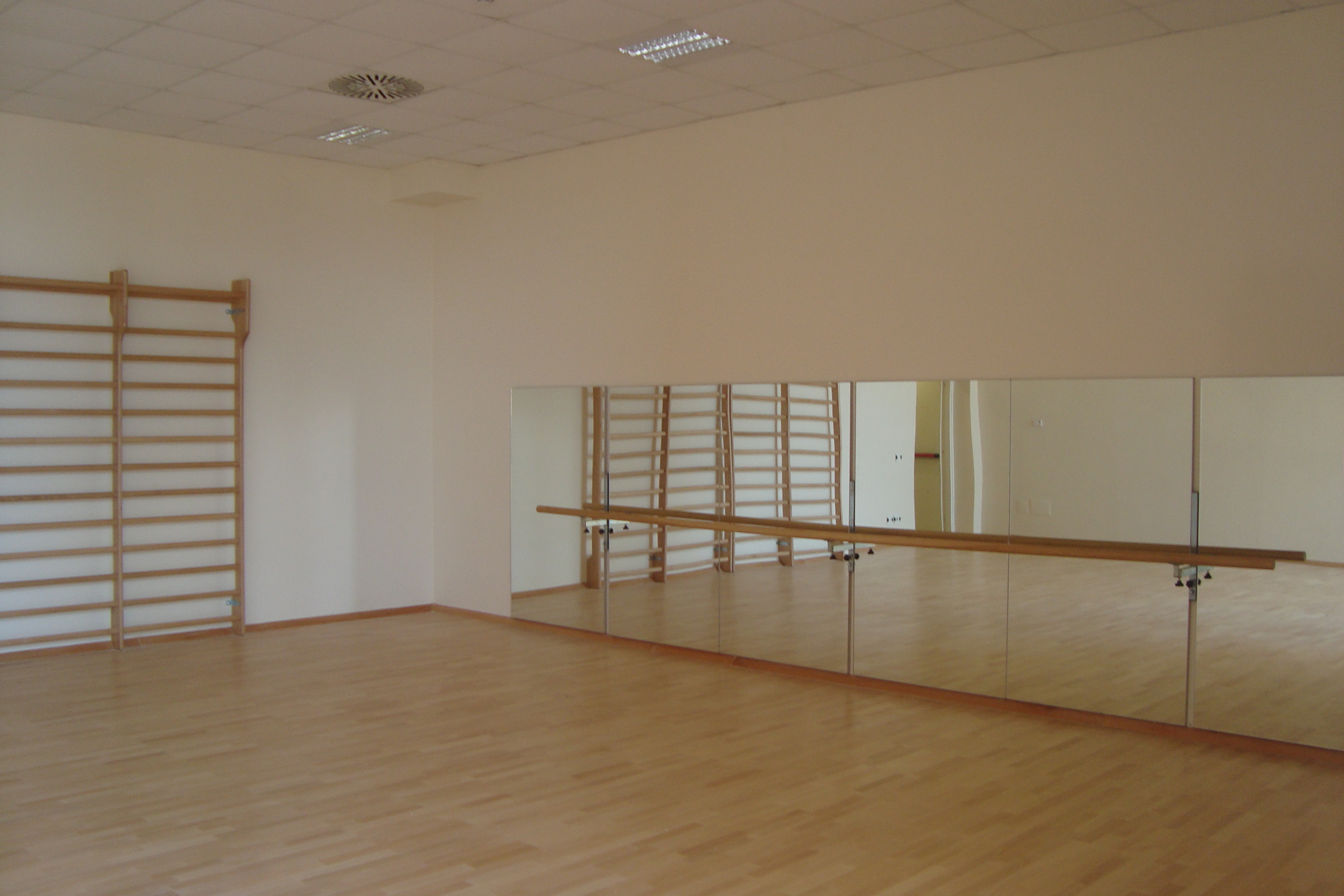 Sala secondaria per attività ginniche danza riabilitative fisioterapiche ed altre varie.