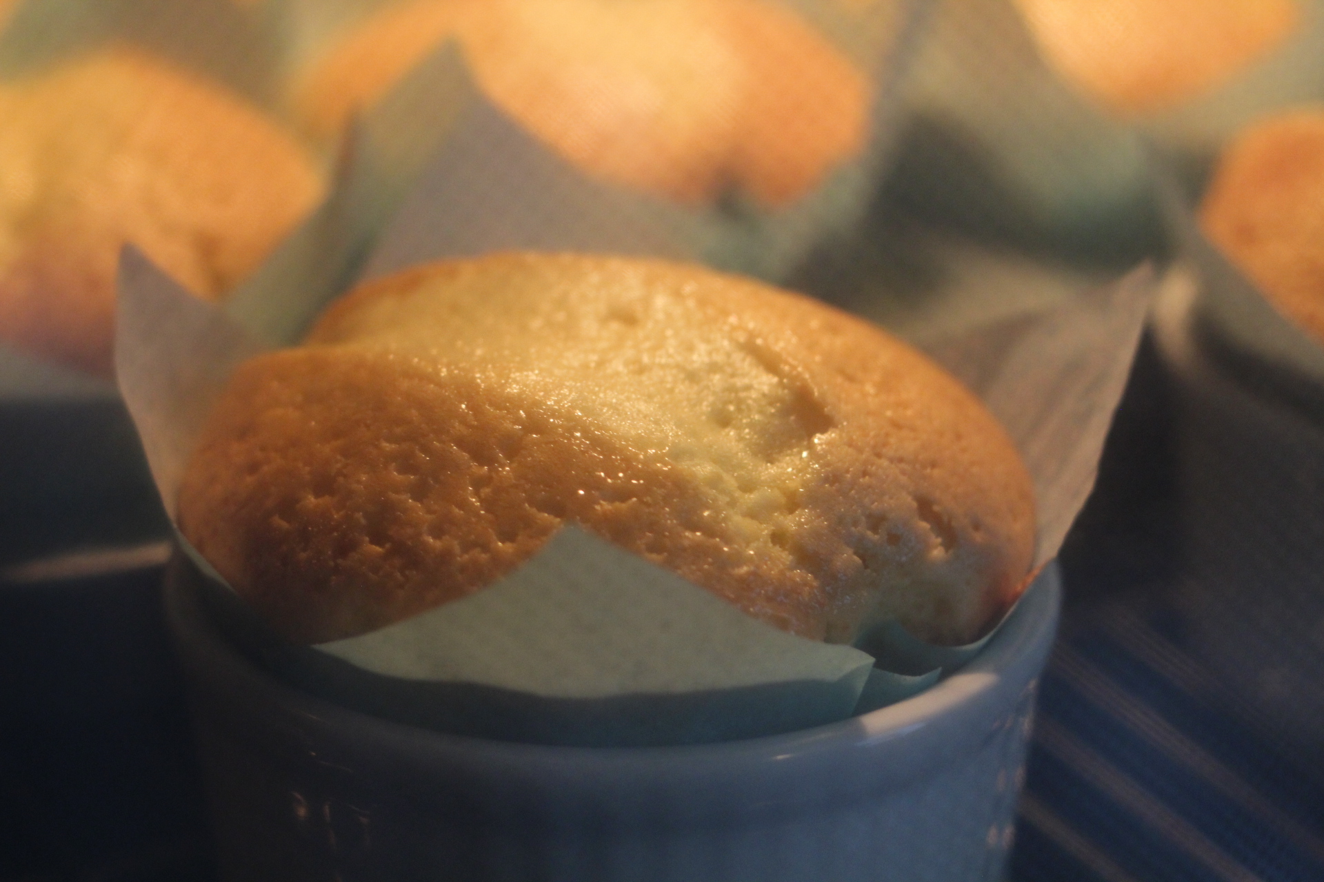 Muffin alla vaniglia