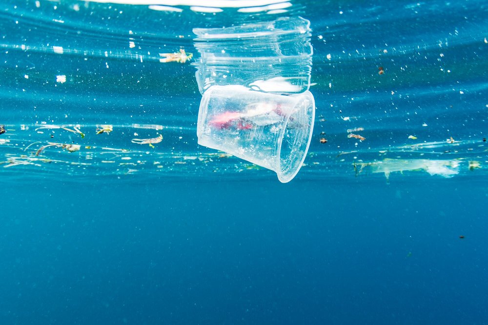 È ufficiale:  Stop alla plastica monouso in tutti i Paesi Ue a partire dal 2021
