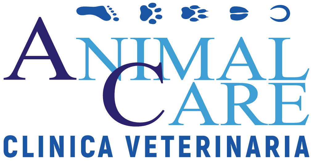 Clinica Veterinaria Animal Care