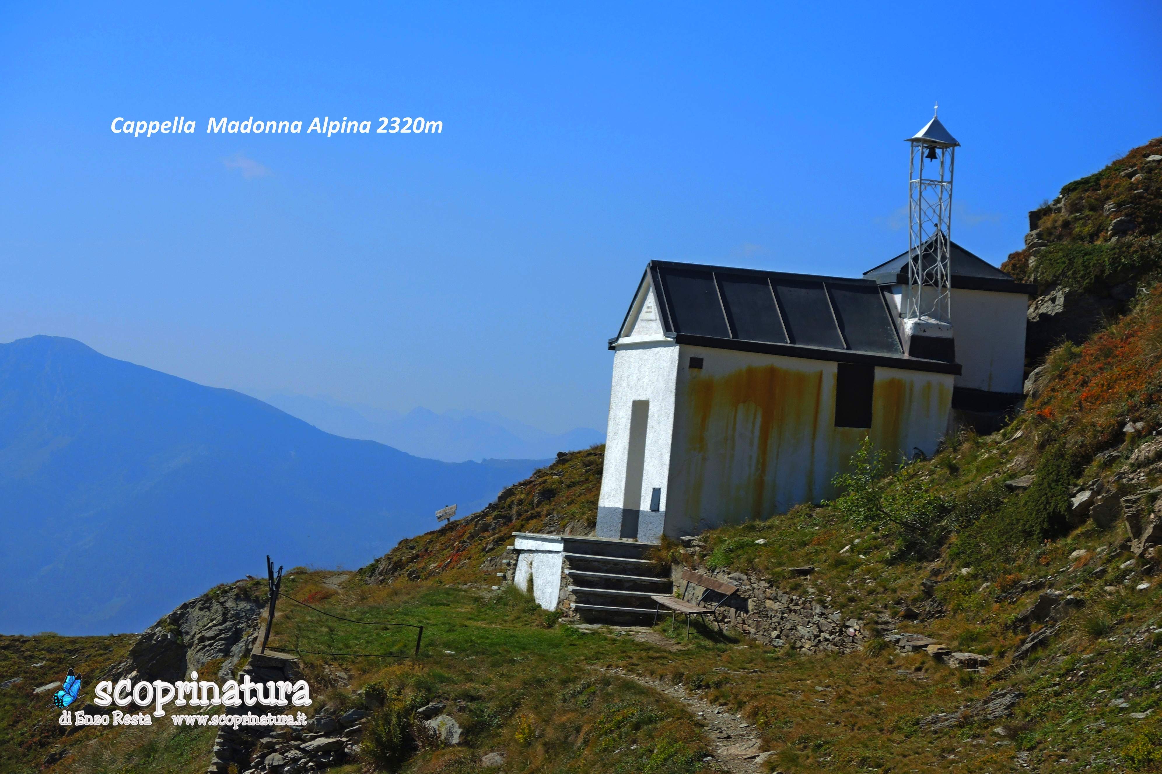 Cappella Madonna Alpina 2320m