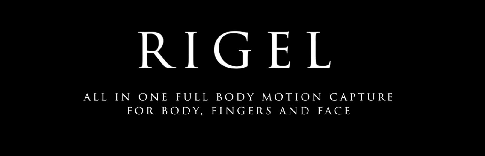 Rigel - All in One Full Body Motion Capture for Body, Fingers and Face - Demo Available