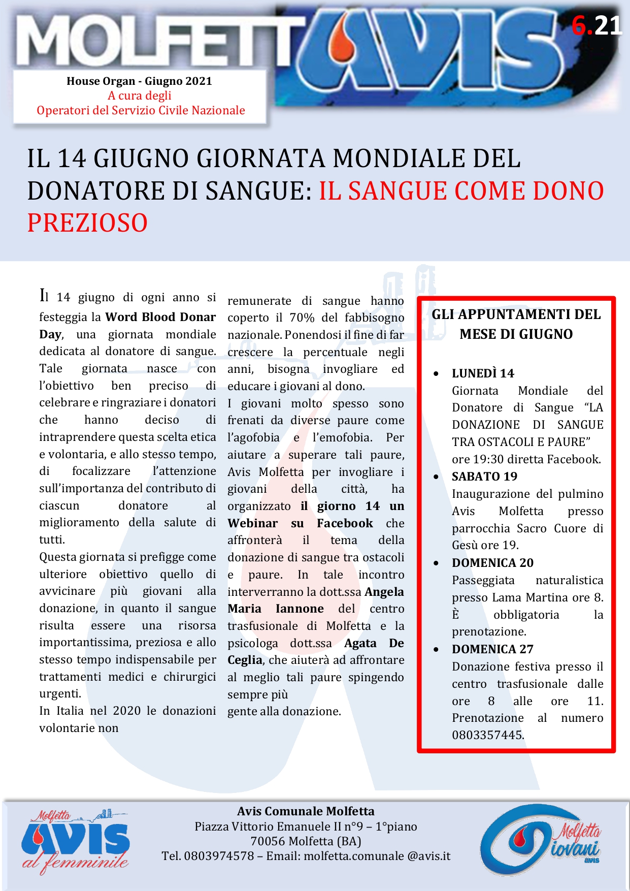 Giornaletto MolfettAvis_page-0001jpg