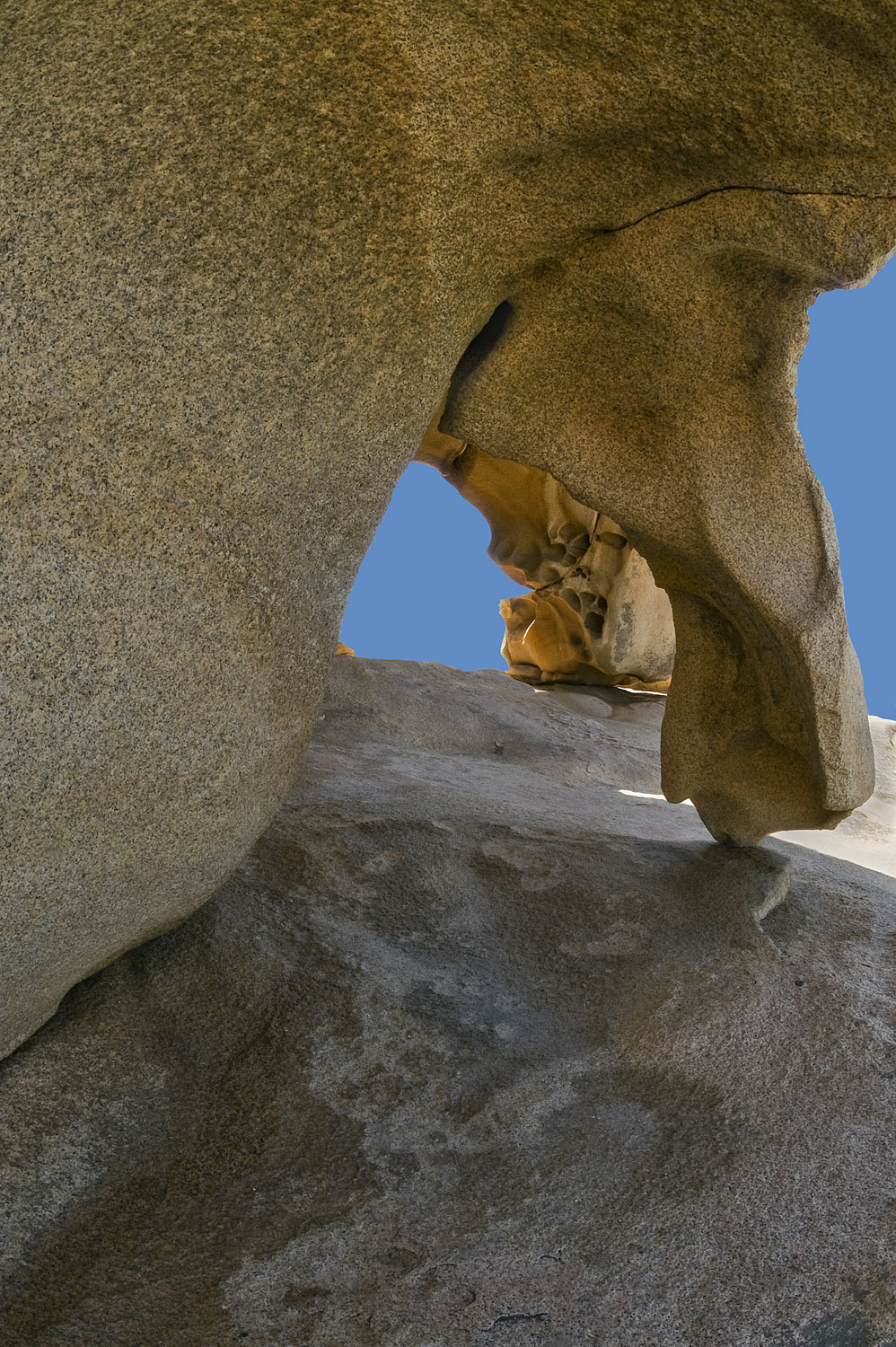 detail of the bear rock, Palau, Sardinia