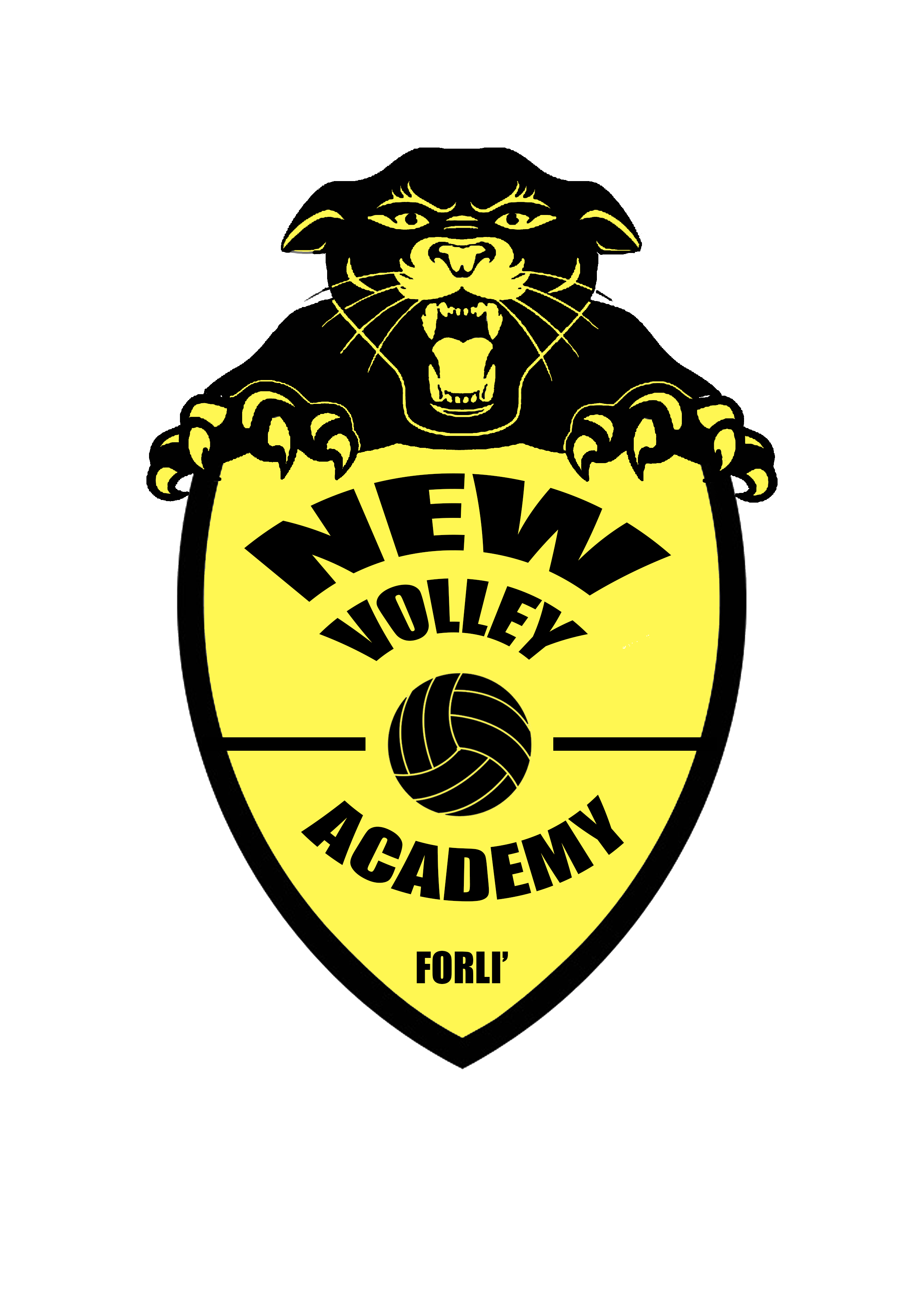 New Volley Academy Gadget