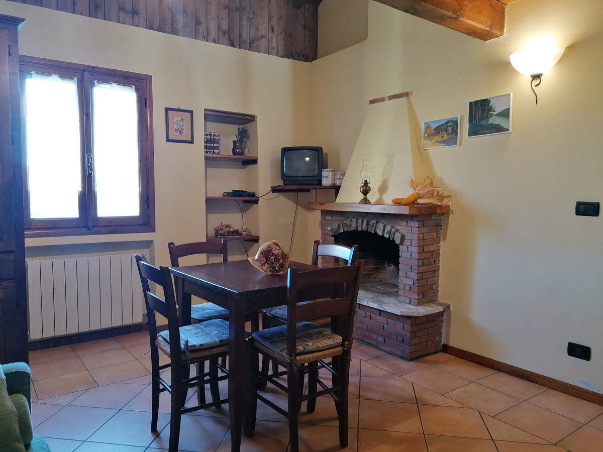 The Porcupine - living room with fireplace- farmhouse in Pigna - Imperia - Liguria