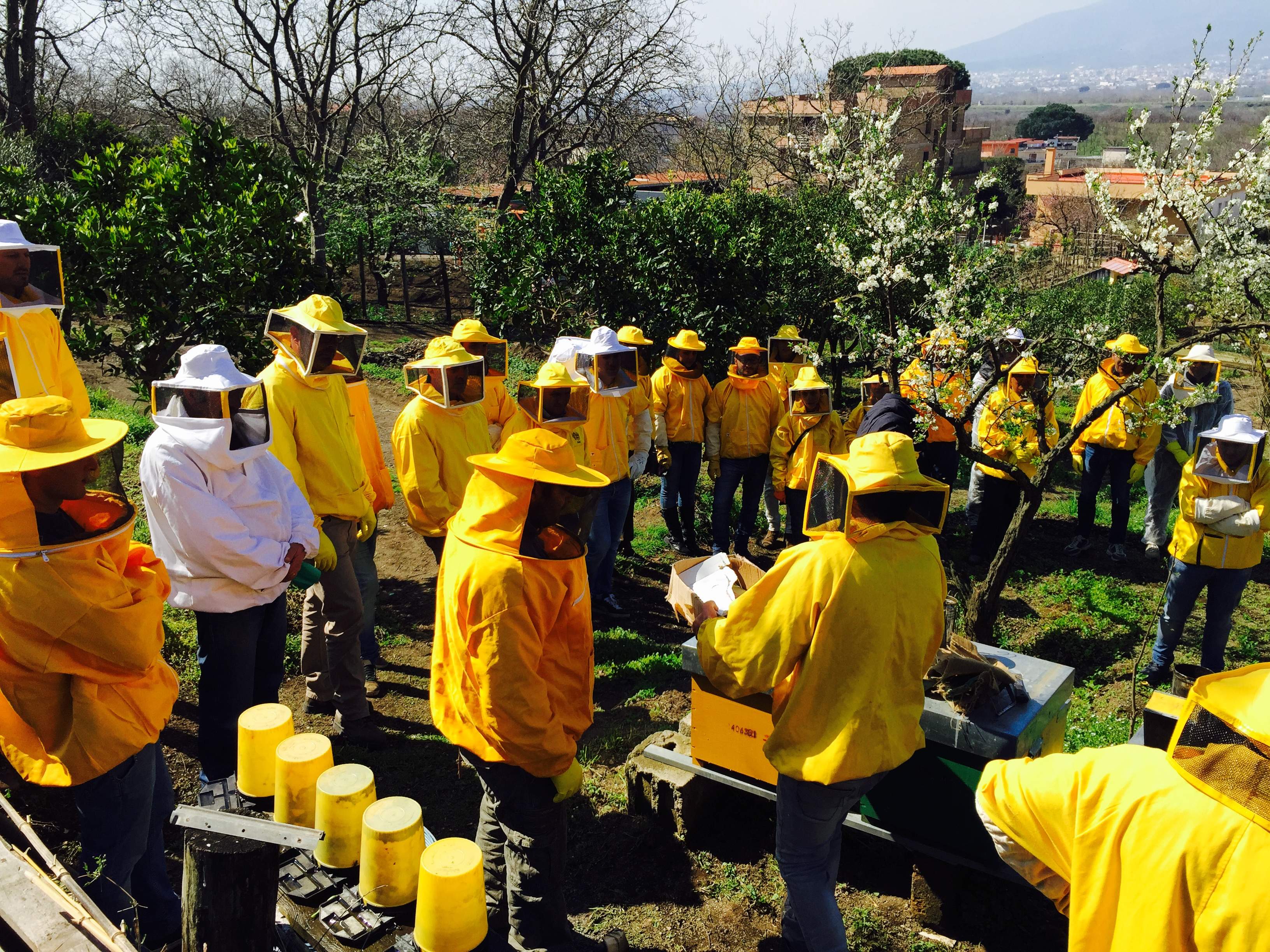 Opportunità di formazione professionalizzante in apicoltura a Caserta