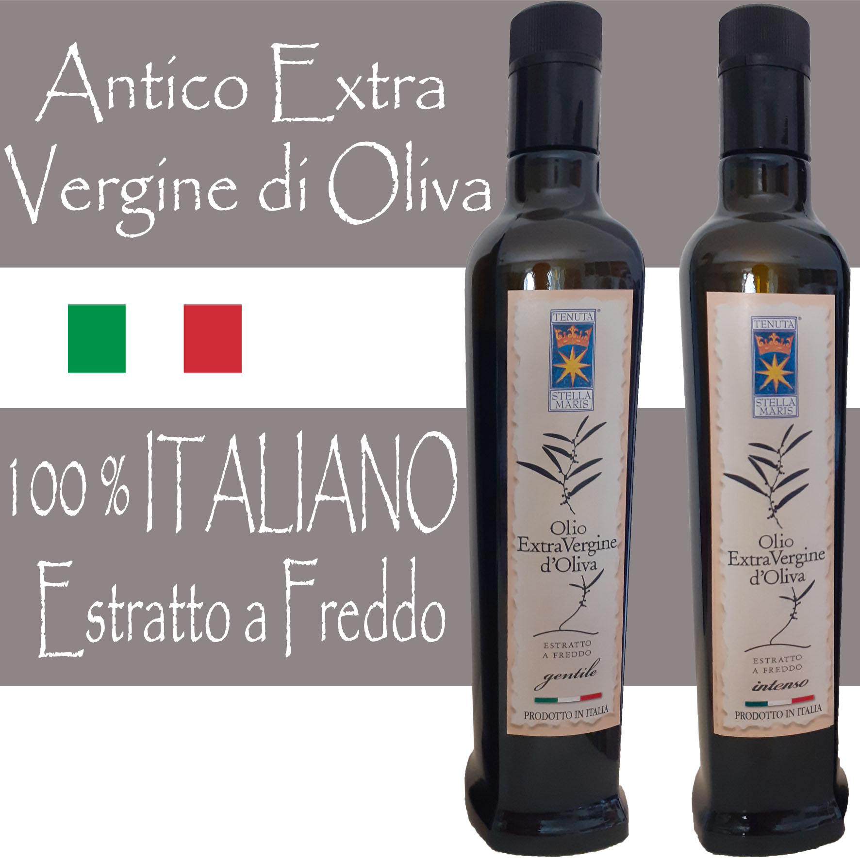 ANTICO Extra Vergine di Oliva - BOTTIGLIE/BOTTLES/FLASCHEN 75 cl. - Confezioni da 12 Bottiglie