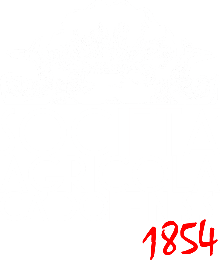 Società Agricola Ca' Dolfin s.s.