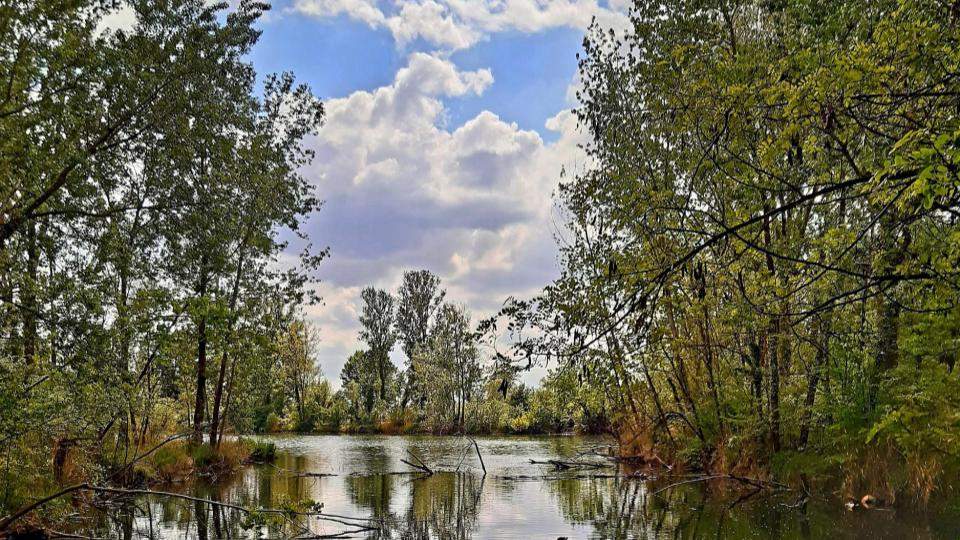 uno dei circa 70 laghi presenti nel territorio del parco Agricolo Sud Milano,
