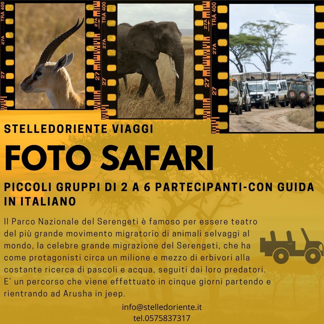 Safari Serengeti (Tanzania)