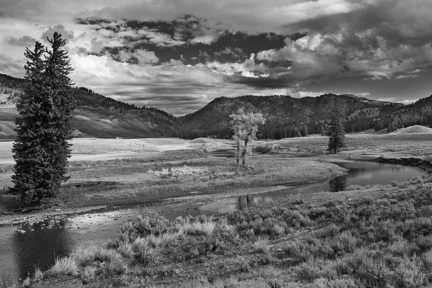 valle Lamar, Lamar valley, Yellowstone