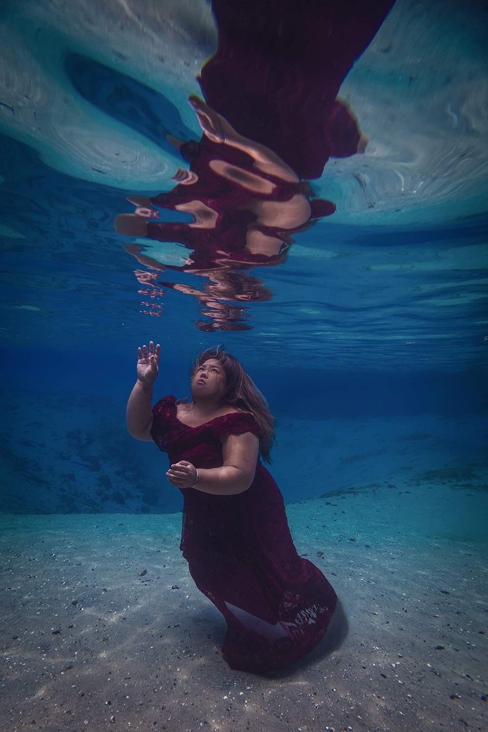 underwater photographer florida