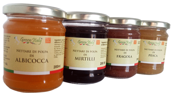 Succo di frutta Mirtilli - 200ml