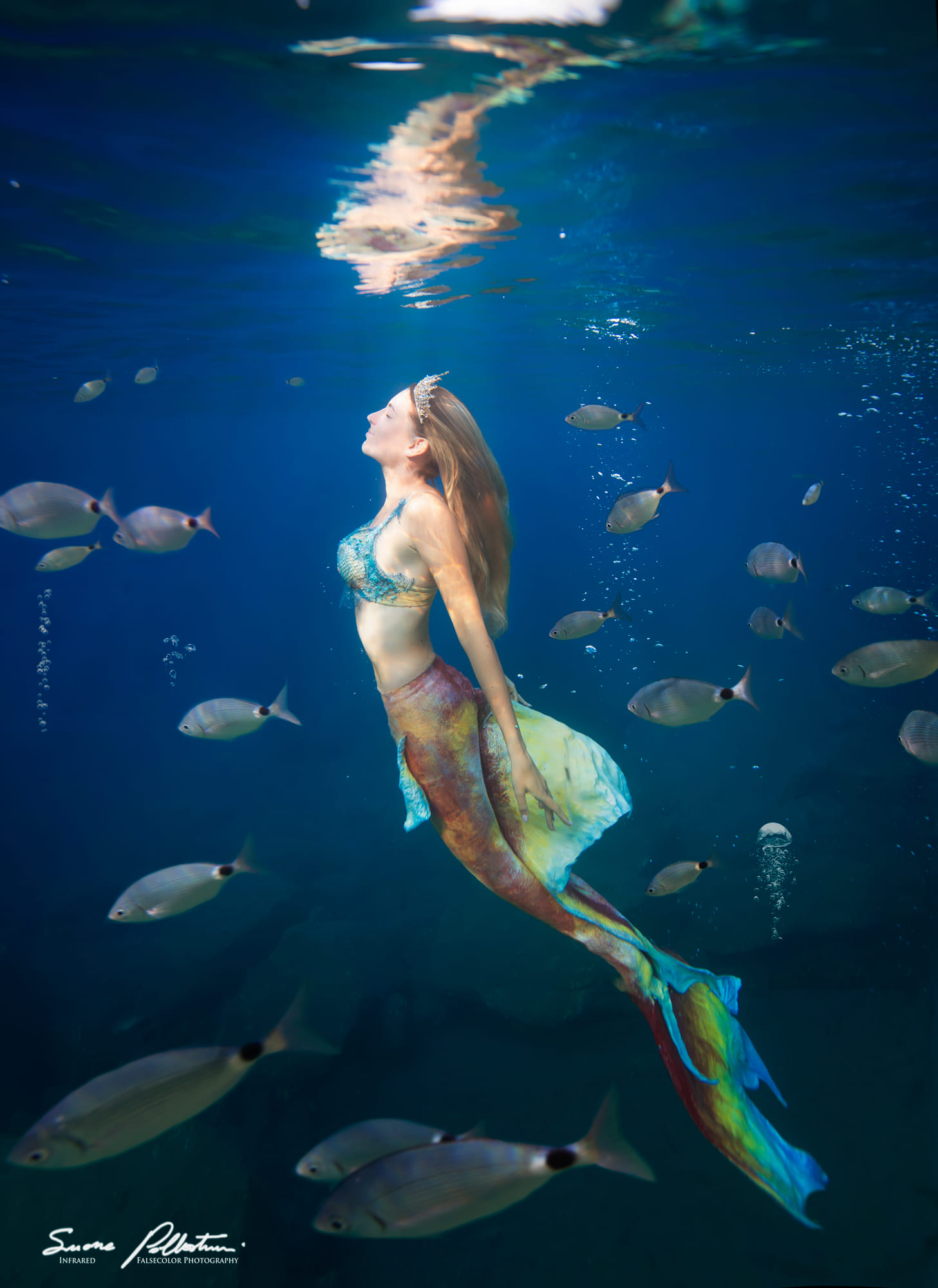 mermaid photography