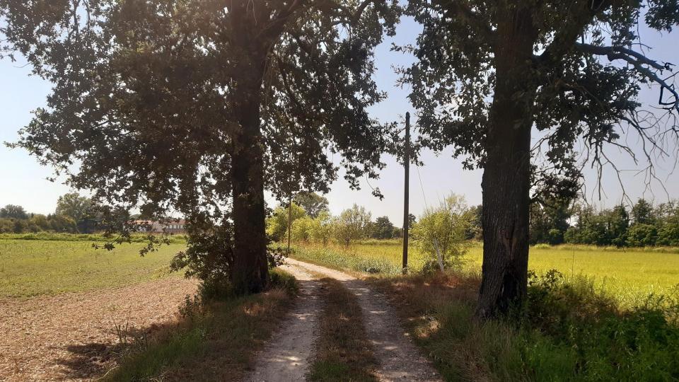 Da Morimondo partono molti sentieri e strade di campagna ideali per passeggiate a piedi o in bici