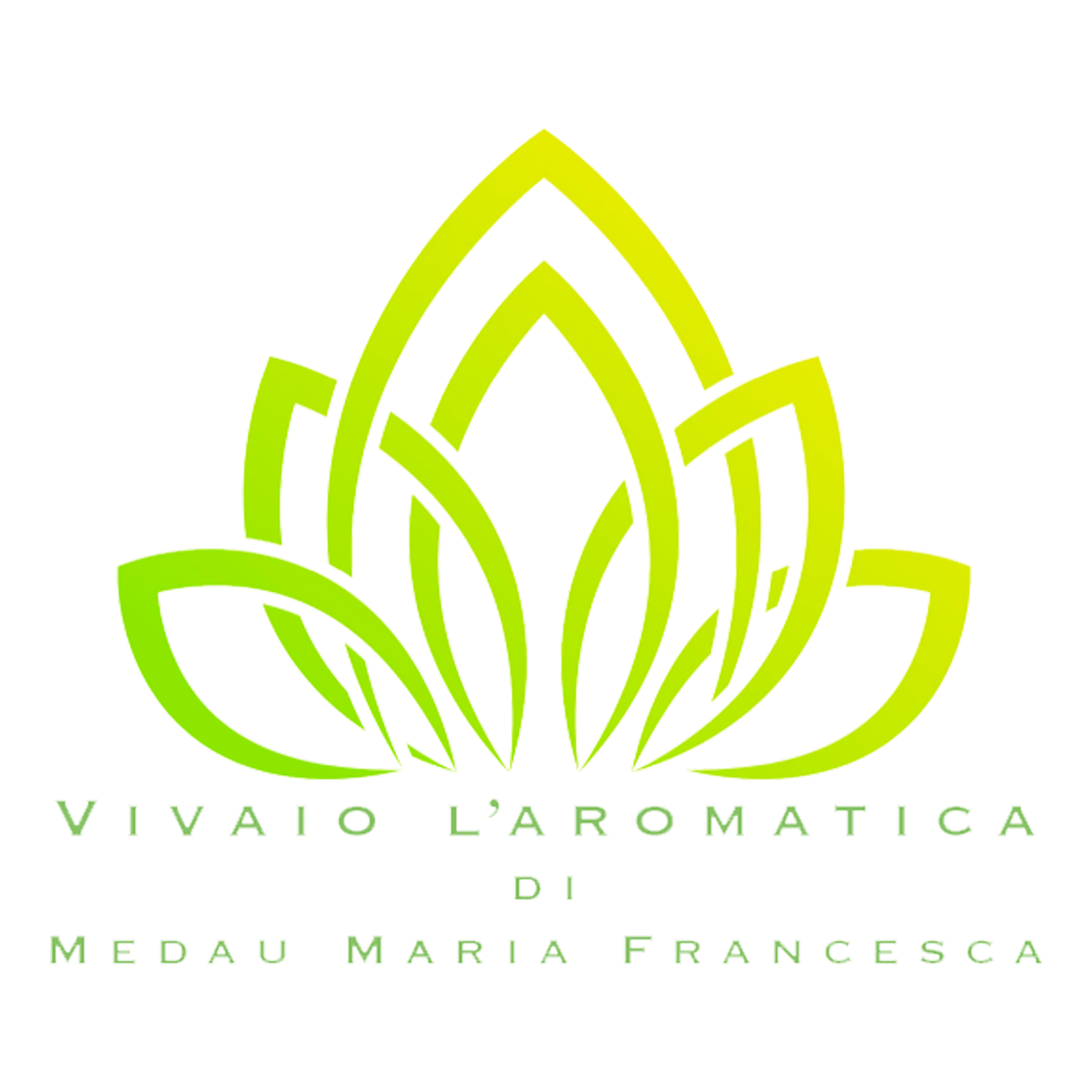 www.vivaiolaromatica.it