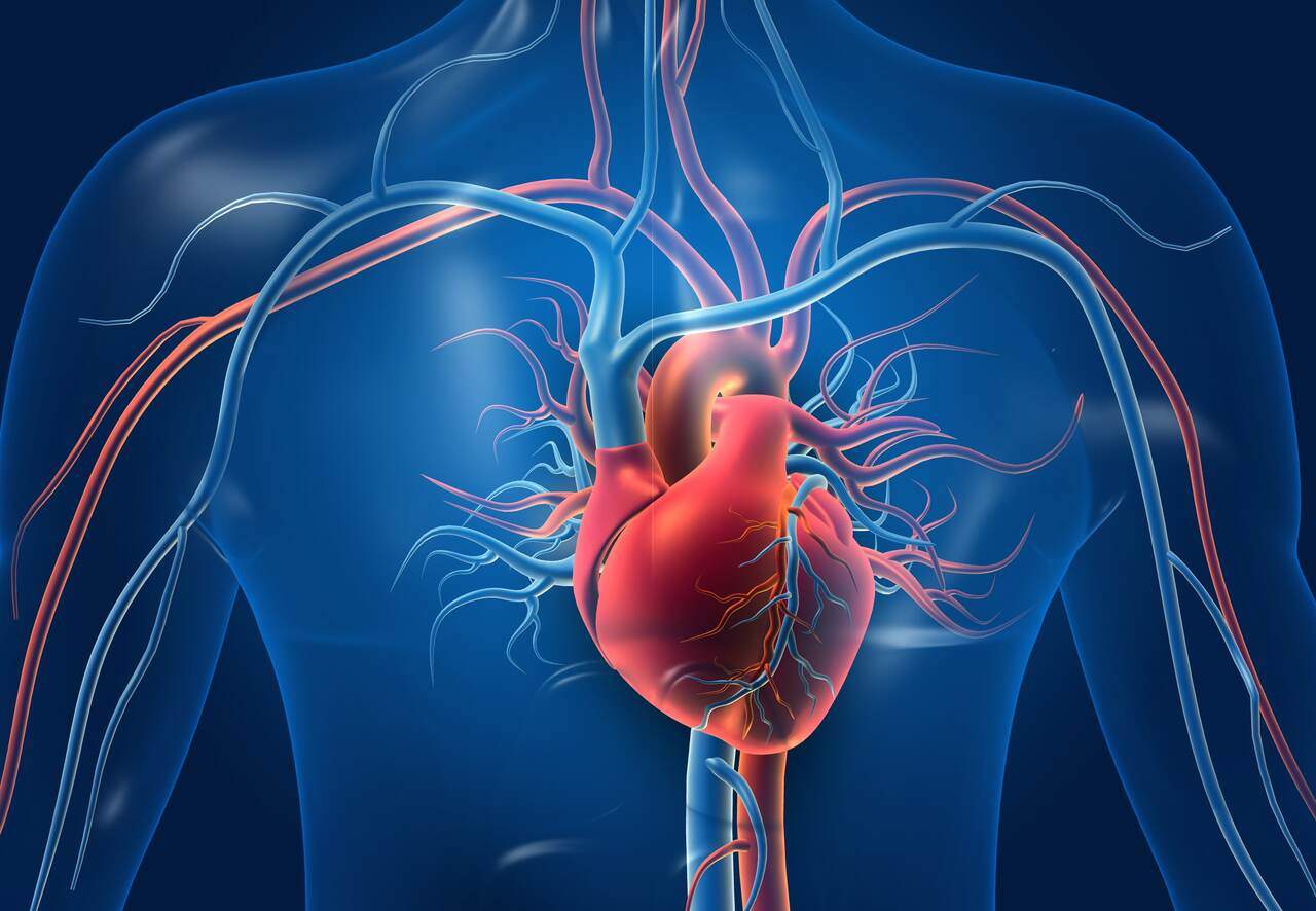 L'esposizione al campo elettromagnetico sul sistema cardiovascolare